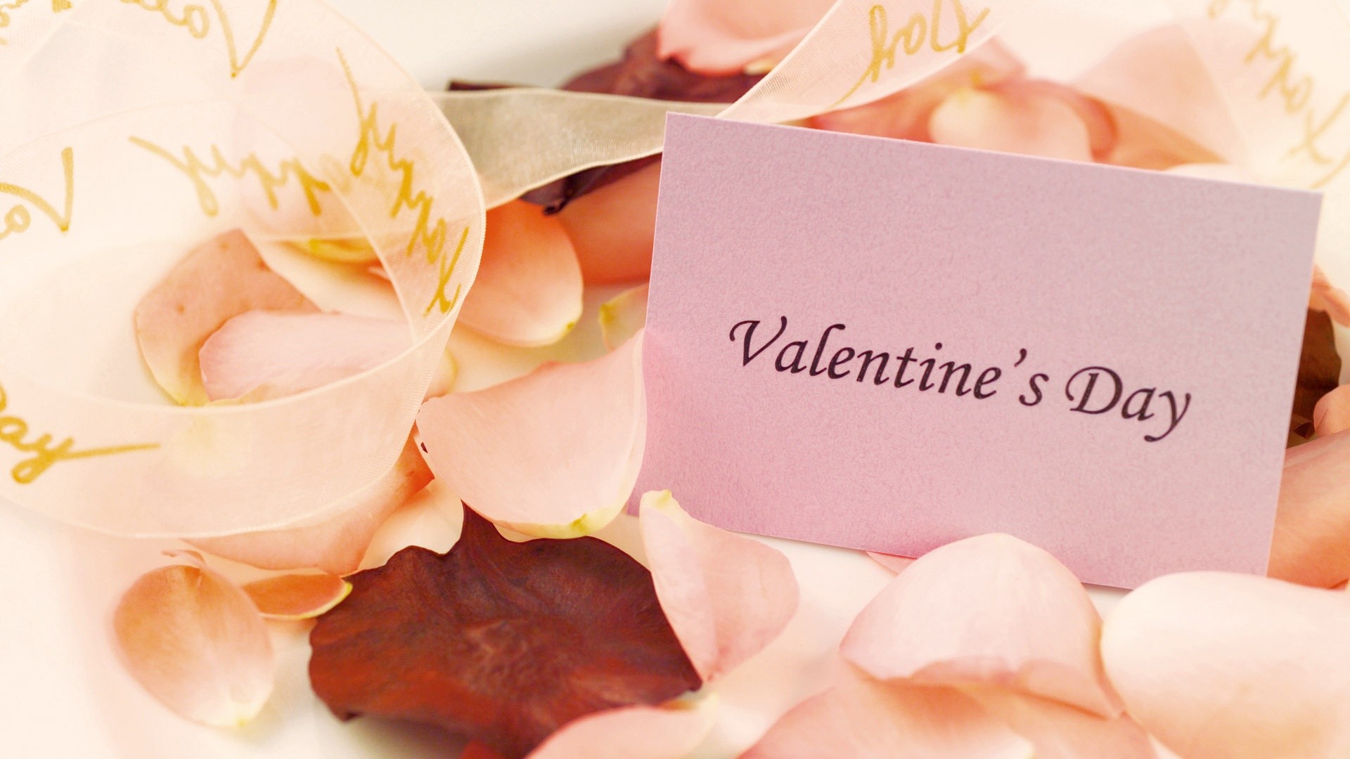 10 Best Valentine's Day PC Wallpapers to Make the Mood Romantic - Techicy