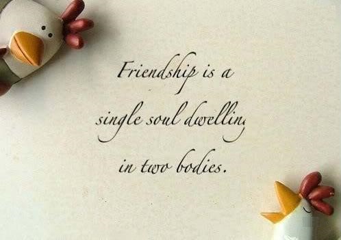 {Best} Happy Friendship Day Whatsapp Status and Facebook ...