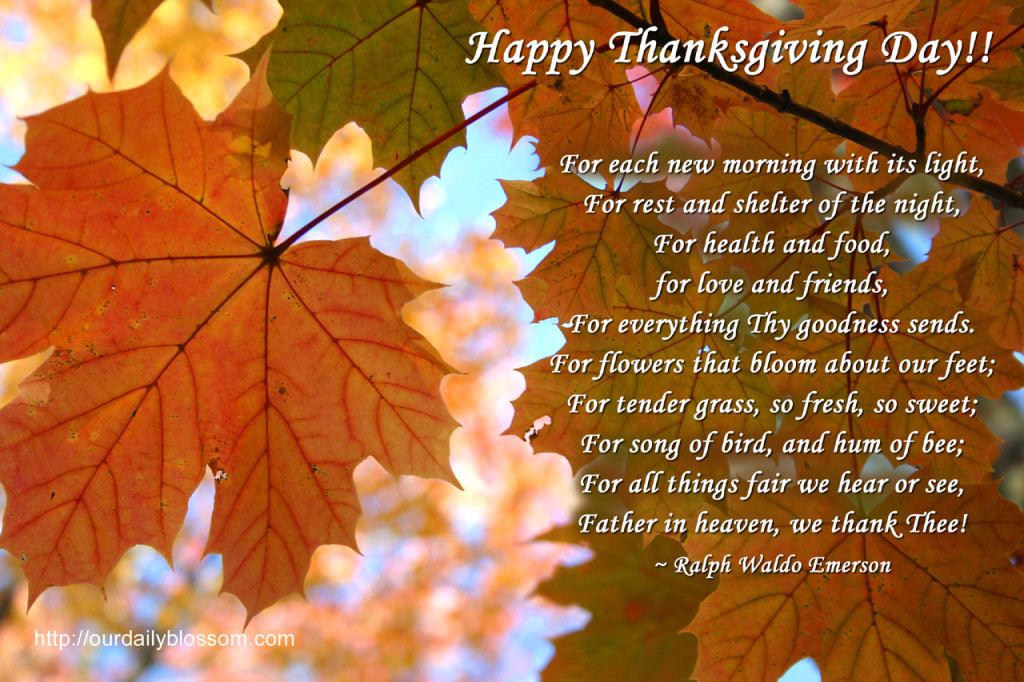 Happy Thanksgiving Greeting Cards