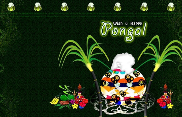 Happy Pongal Facebook and WhatsApp Status