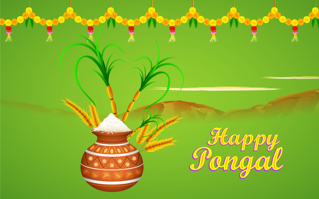 Happy Pongal Wallpapers Pictures Images - Free Download - Techicy
