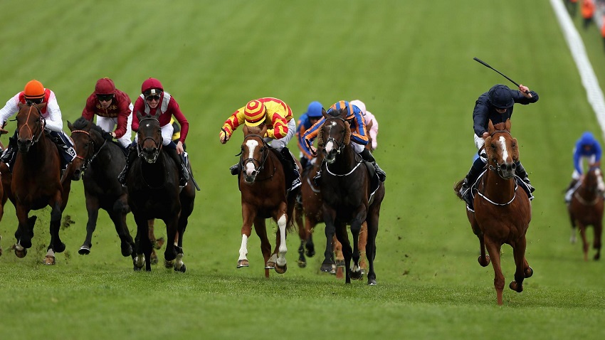 Influence Of Technology In The Horse Racing Industry