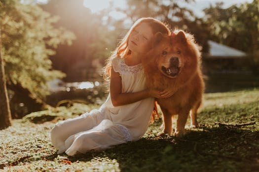11 Unexpectedly Brilliant Tips for Dog Owners