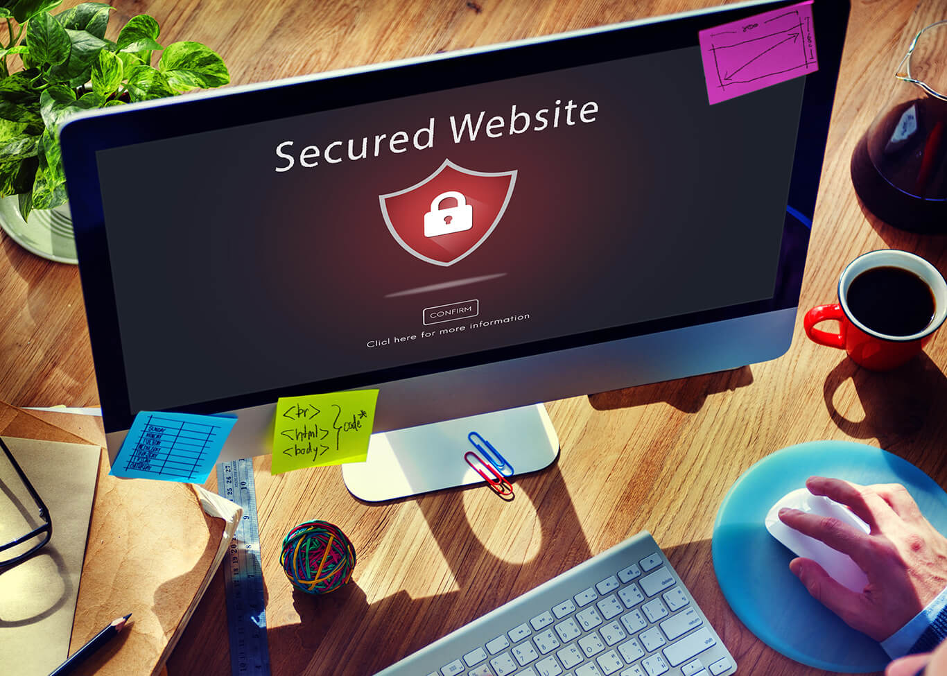 Safeguard Your Websites