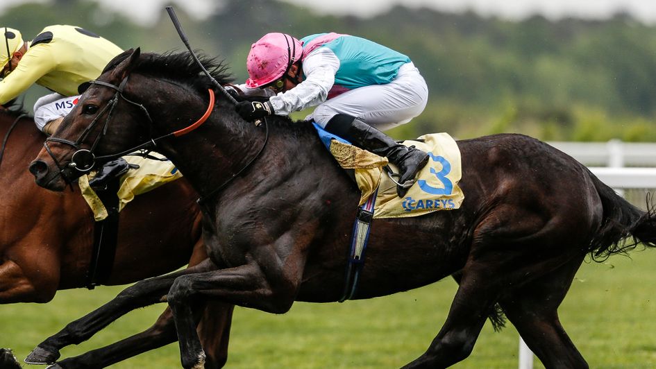 Horse Racing’s Royal Connections Techicy