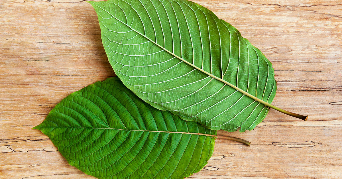 Kratom Consumption for Your Anxiety Problems
