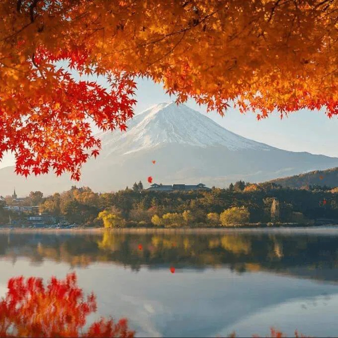 Mount Fuji Autumn sunrise from wallpaper engine