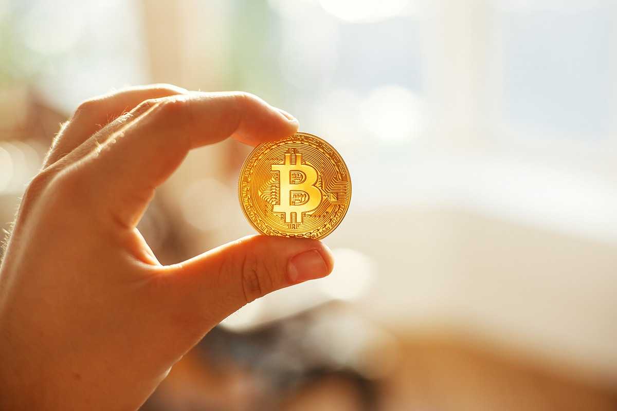 Earn Profit from Bitcoin Crypto