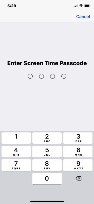 Reset your iPhone if you Forgot Screen Time Passcode 3
