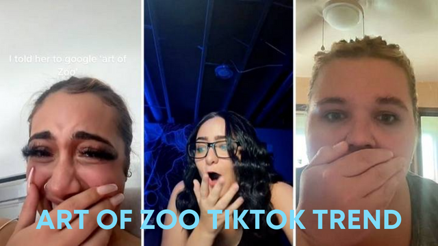 Art of Zoo trend