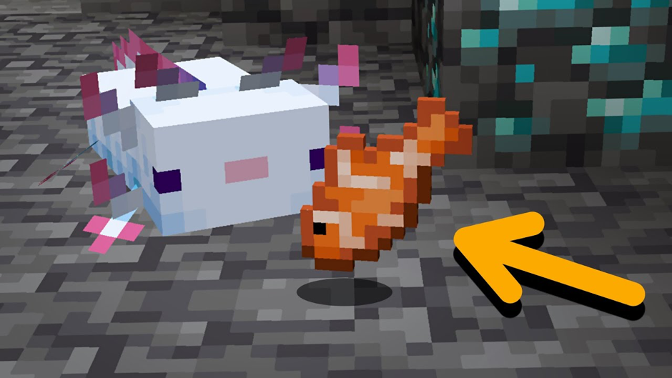 How to Tame Axolotls in Minecraft?