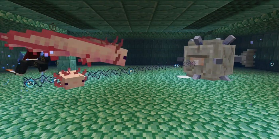How to get Axolotl in Minecraft?