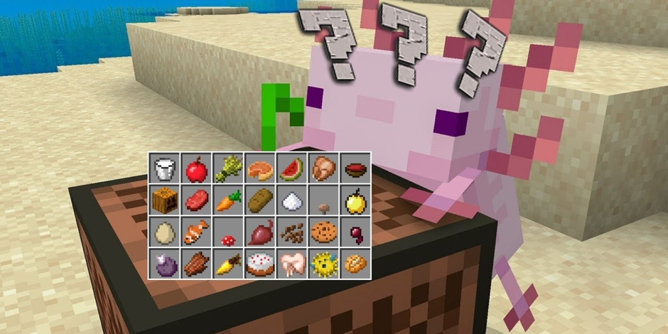 In Minecraft, what is the Food of Axolotls?