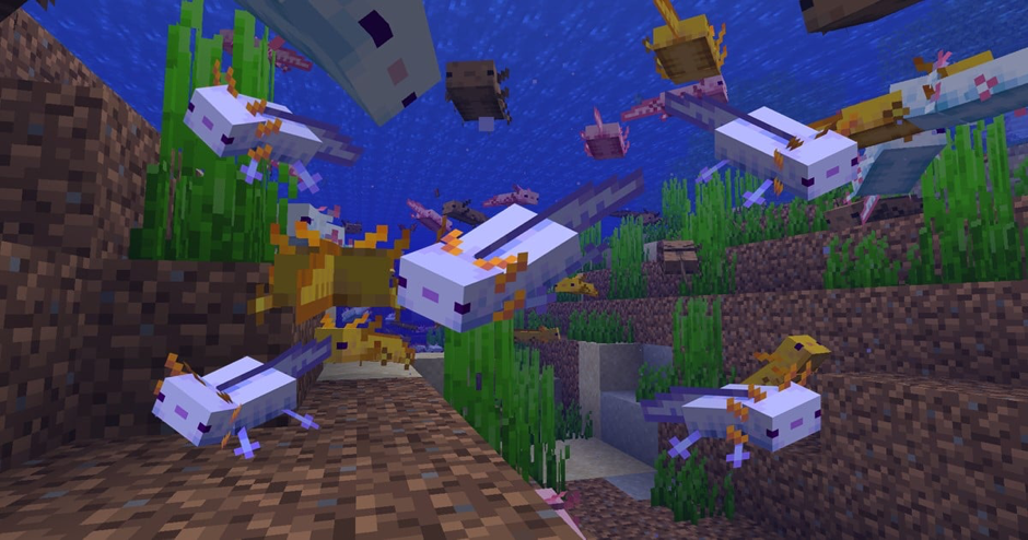 Raising Axolotls in Minecraft, in a better way