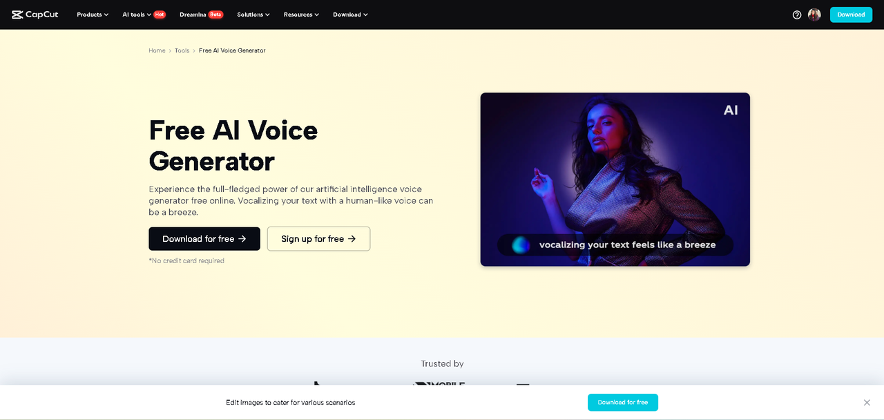 Desktop Video Editor