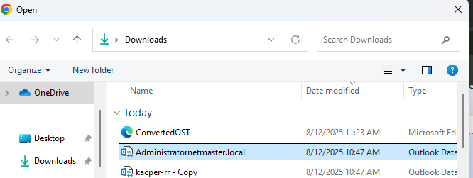 Locate and select the OST file