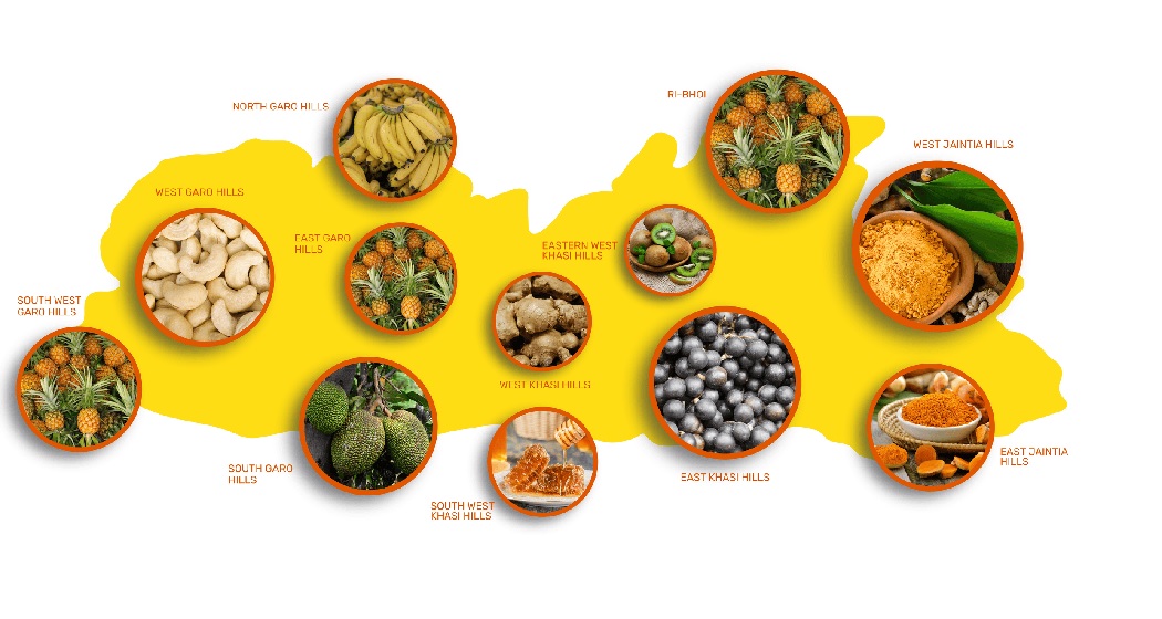 Ways the PM FME Scheme