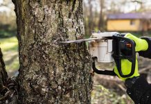The Growing Demand for Professional Tree Service Businesses The Growing Demand for Professional Tree Service Businesses