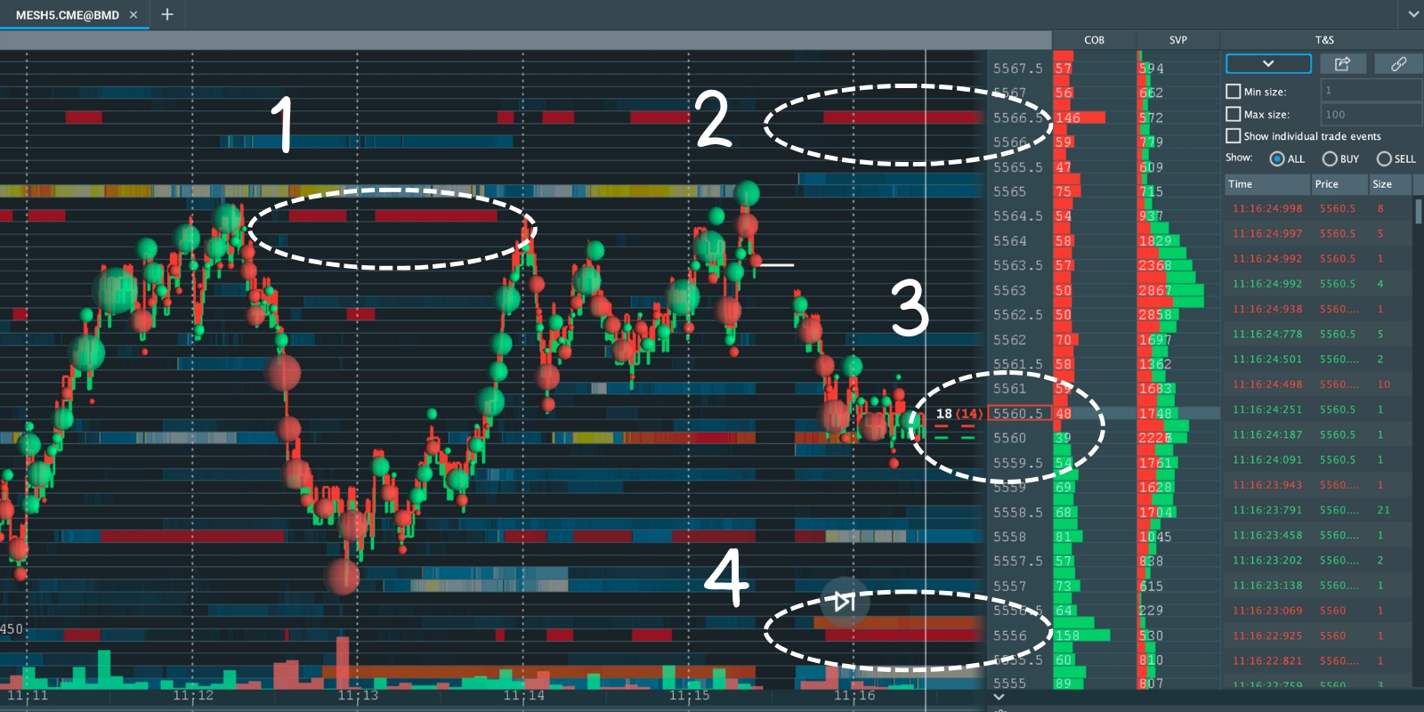 Master Order Book Heatmaps